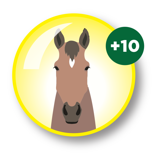 horse for team two